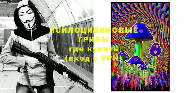 амф Саяногорск