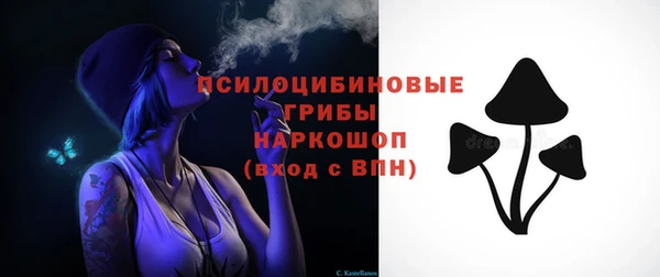 амф Саяногорск
