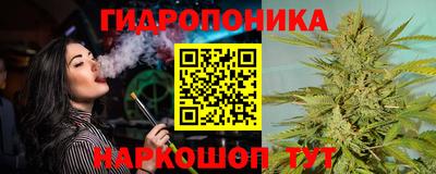 метадон Кингисепп
