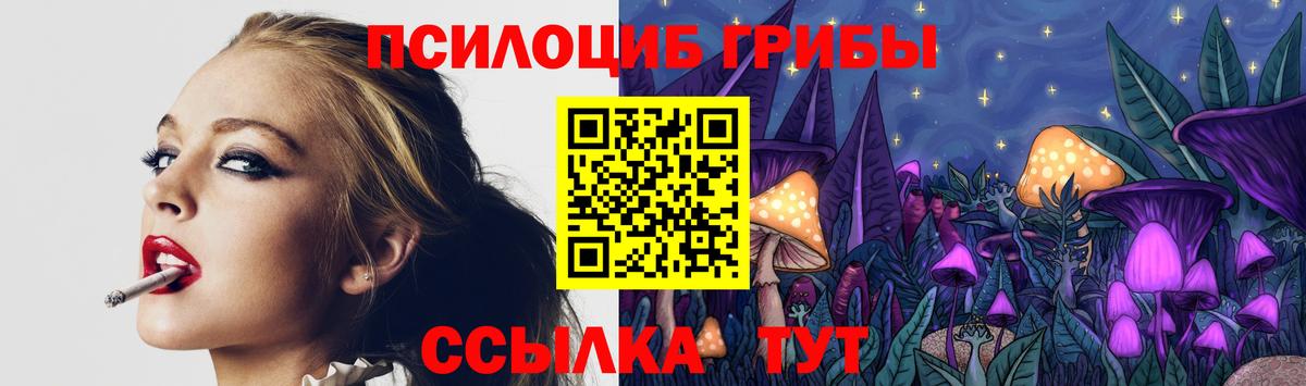 Псилоцибиновые грибы мухоморы  Галлюциногенные грибы GOLDEN TEACHER  где найти наркотики  Вход с VPN  Сосновоборск 