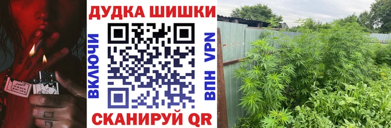 Бошки марихуана индика  Сосновоборск 